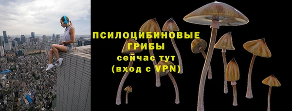 амфетамин Осинники