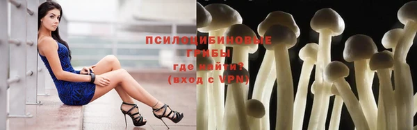 метадон Осташков