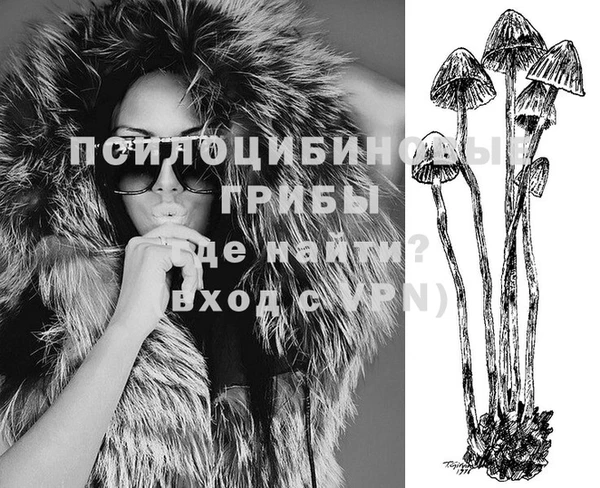 молекула духа Остров