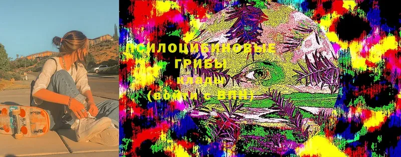 Псилоцибиновые грибы MAGIC MUSHROOMS  Аксай 