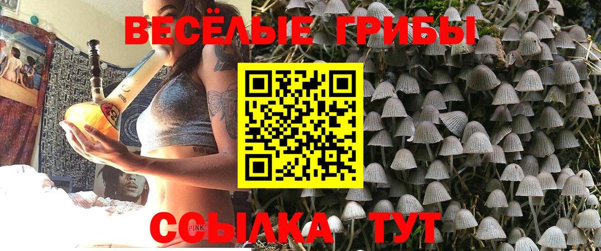 Галлюциногенные грибы GOLDEN TEACHER  Вход с VPN  Аксай 