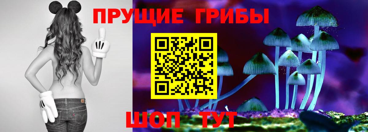 Галлюциногенные грибы прущие грибы Аксай